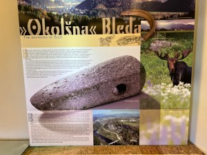 Slovenia's Alces alces elk were not only dead ringers for moose--they were moose. They were Eurasian Elk (in the moose family, not elk), and they no longer roam in Slovenia.