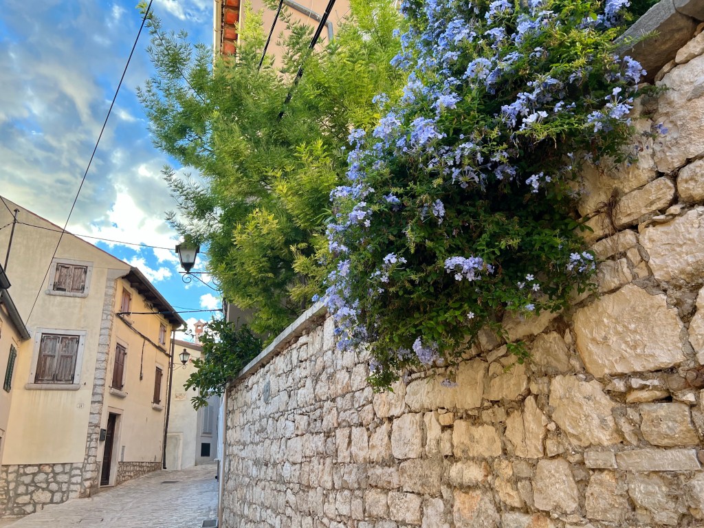 Old Town Rovinj in Istria, a region in Croatia.
